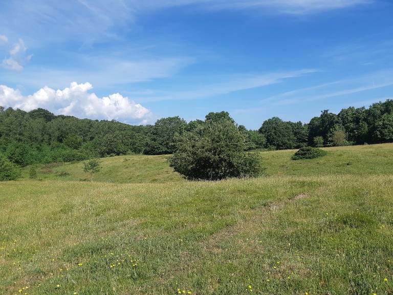 Activity Image