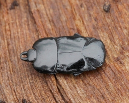 Foto af Hololepta plana (Hololepta plana) | Standardfoto