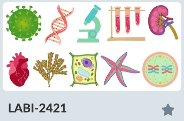 Activity Image